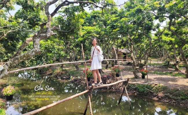 Tour chay miền Tây: Khám phá du lịch bản địa và thưởng chay